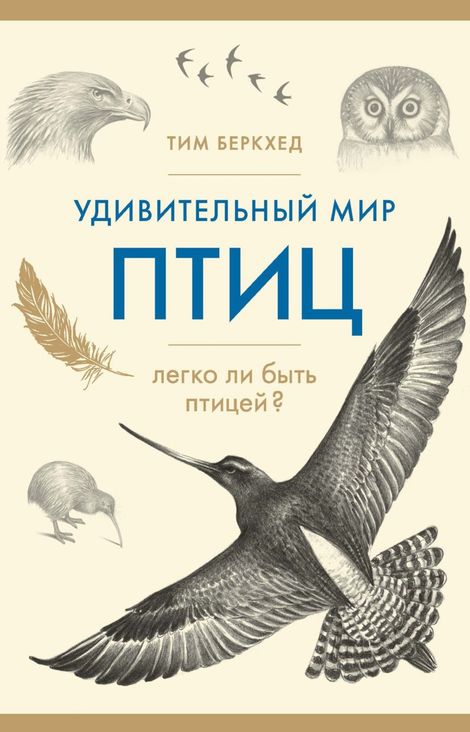 Книга «Удивительный мир птиц. Легко ли быть птицей? – Тим Беркхед»