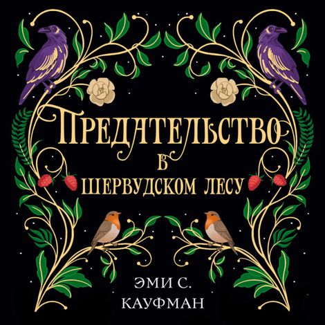Аудиокнига «Предательство в Шервудском лесу – Эми Кауфман»