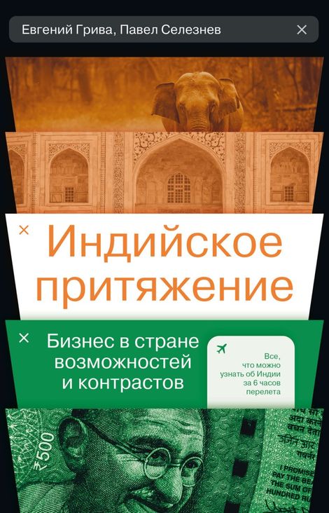 Книга «Индийское притяжение. Бизнес в стране возможностей и контрастов – Евгений Грива, Павел Селезнев»