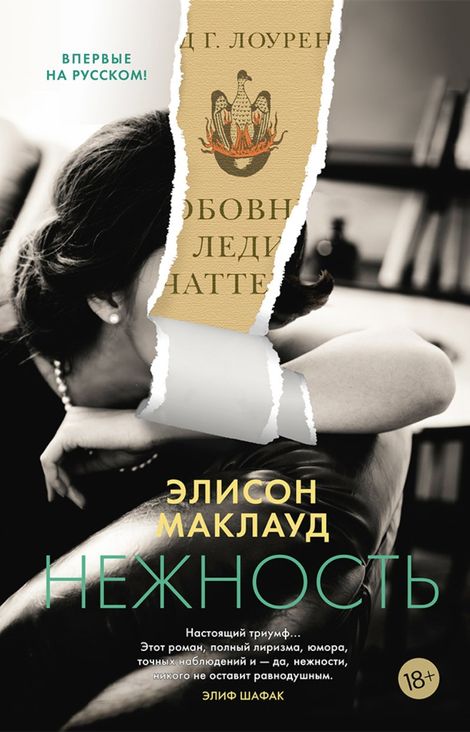 Книга «Нежность – Элисон Маклауд»