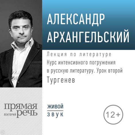 Аудиокнига «Курс интенсивного погружения в русскую литературу. Урок второй. Тургенев – Александр Архангельский»