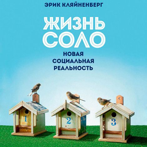 Аудиокнига «Жизнь Соло. Новая социальная реальность – Эрик Кляйненберг»