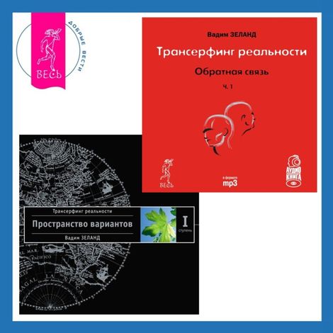 Аудиокнига «Трансерфинг реальности. Ступень I: Пространство вариантов + Обратная связь. Часть I – Вадим Зеланд»