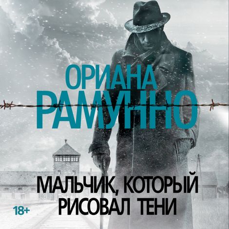 Аудиокнига «Мальчик, который рисовал тени – Ориана Рамунно»