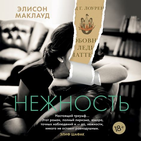 Аудиокнига «Нежность – Элисон Маклауд»