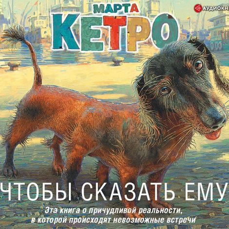 Аудиокнига «Чтобы сказать ему – Марта Кетро»