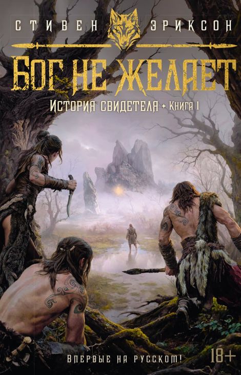 Книга «История свидетеля. Книга 1. Бог не желает – Стивен Эриксон»