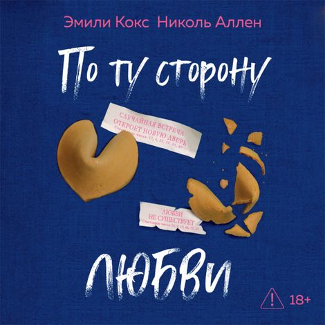Аудиокнига «По ту сторону любви – Николь Аллен, Эмили Кокс»