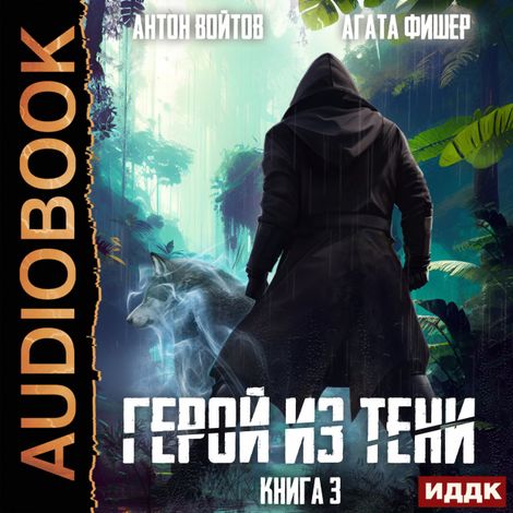 Аудиокнига «Герой из тени. Книга 3 – Антон Войтов, Агата Фишер»