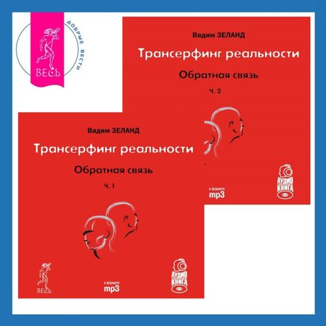 Аудиокнига «Трансерфинг реальности. Обратная связь. Часть 1 + 2 – Вадим Зеланд»