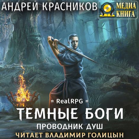 Аудиокнига «Темные боги. Проводник душ – Андрей Красников»