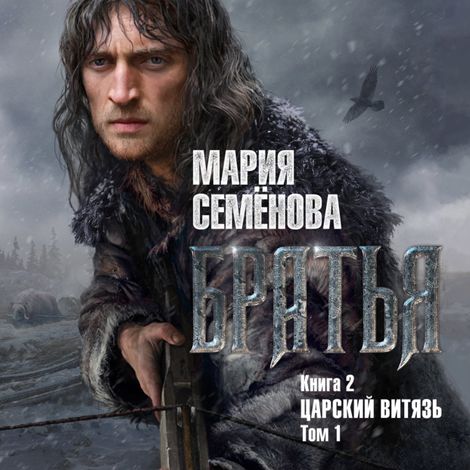 Аудиокнига «Братья. Книга 2. Царский витязь. Том 1 – Мария Семенова»
