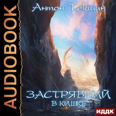 Аудиокнига «Застрявший. Книга 3. Застрявший в Кишке – Антон Текшин»
