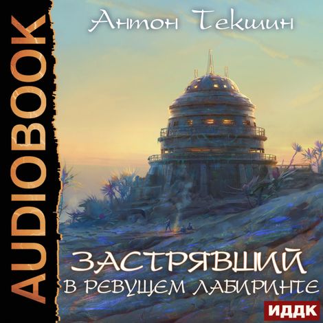 Аудиокнига «Застрявший. Книга 4. Застрявший в Ревущем лабиринте – Антон Текшин»