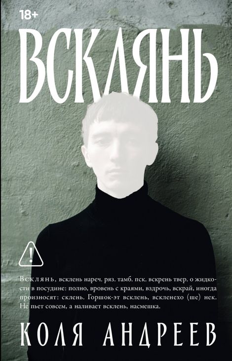 Книга «Всклянь – Коля Андреев»