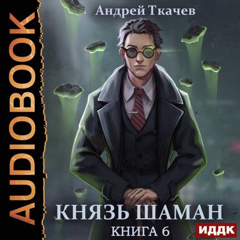 Аудиокнига «Князь шаман. Книга 6 – Андрей Ткачев»