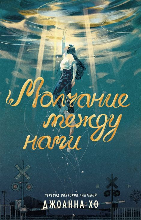Книга «Молчание между нами – Джоанна Хо»