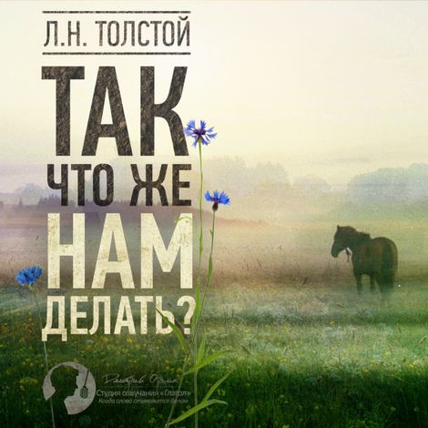Аудиокнига «Так что же нам делать? – Лев Толстой»