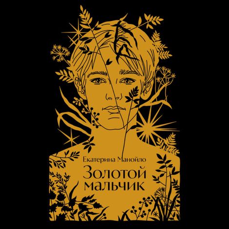 Аудиокнига «Золотой мальчик – Екатерина Манойло»