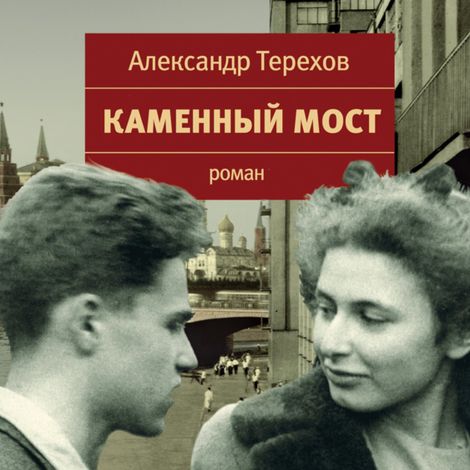 Аудиокнига «Каменный мост – Александр Терехов»