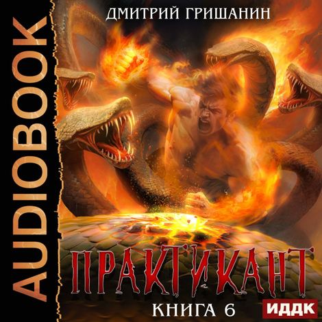 Аудиокнига «Практикант. Книга 6 – Дмитрий Гришанин»