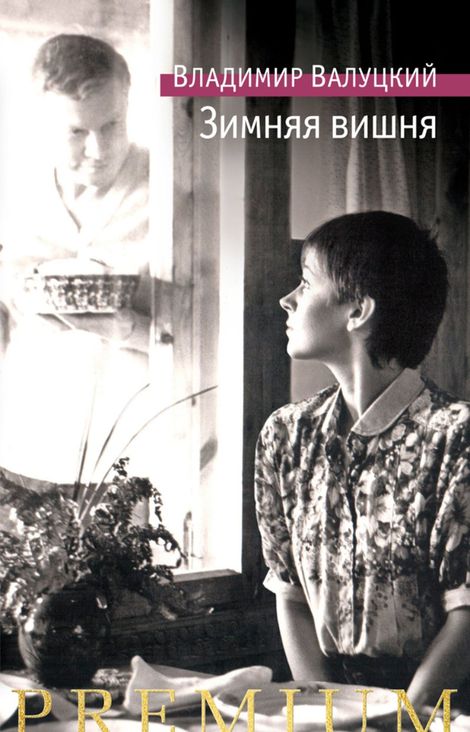 Книга «Зимняя вишня – Владимир Валуцкий»