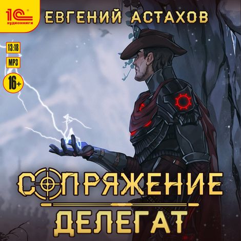 Аудиокнига «Сопряжение. Делегат – Евгений Астахов»