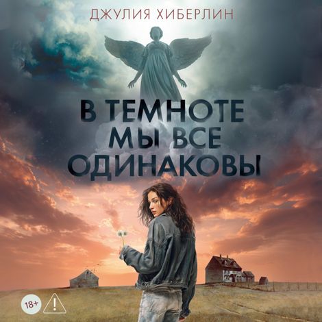 Аудиокнига «В темноте мы все одинаковы – Джулия Хиберлин»