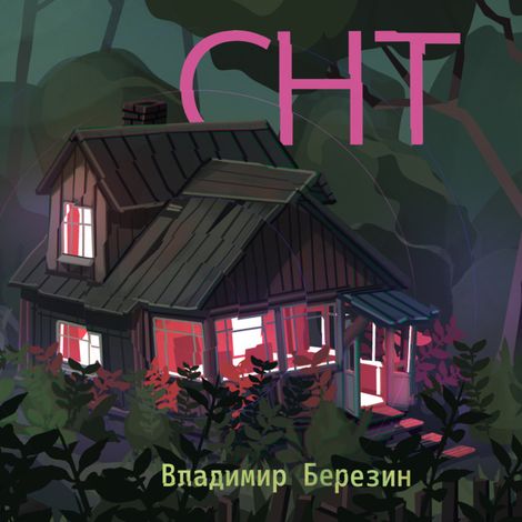 Аудиокнига «СНТ – Владимир Березин»