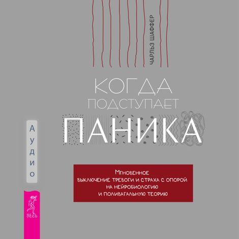 Аудиокнига «Когда подступает паника – Чарльз Шаффер»