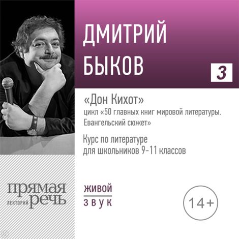 Аудиокнига «Дон Кихот. Литература. 9-11 класс – Дмитрий Быков»