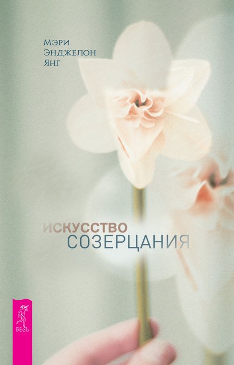 Книга «Искусство созерцания – Мэри Энджелон Янг»