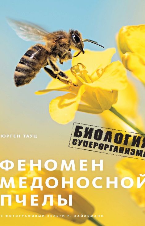 Книга «Феномен медоносной пчелы. Биология суперорганизма – Юрген Тауц»