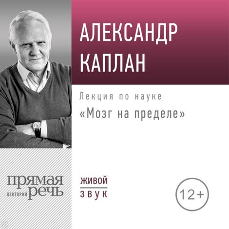 Аудиокнига «Мозг на пределе – Александр Каплан»