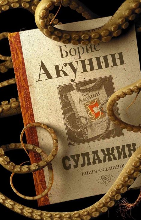 Книга «Сулажин – Борис Акунин»