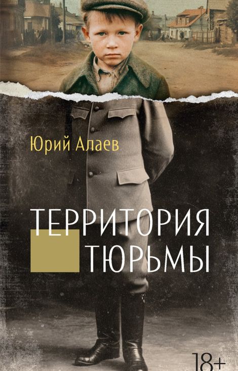 Книга «Территория тюрьмы – Юрий Алаев»