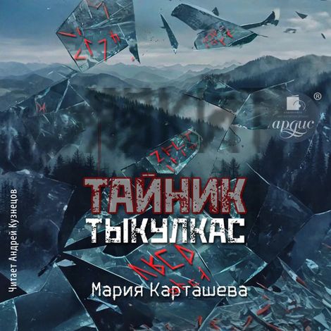 Аудиокнига «Тайник. Тыкулкас – Мария Карташева»