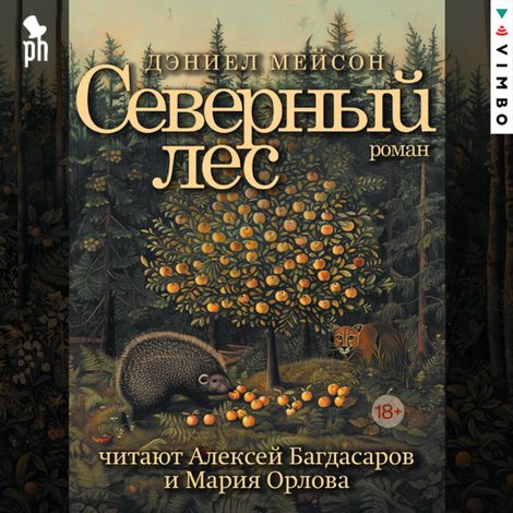 Аудиокнига «Северный лес – Дэниел Мейсон»