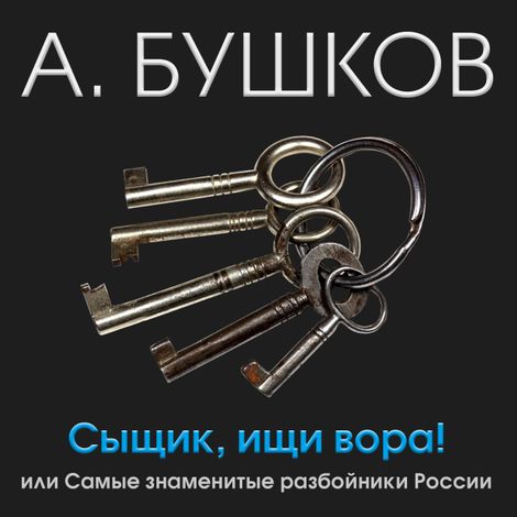Аудиокнига «Сыщик, ищи вора!  Или самые знаменитые разбойники России – Александр Бушков»