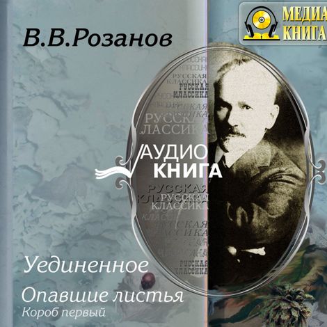 Аудиокнига «Уединенное. Опавшие листья – Василий Розанов»