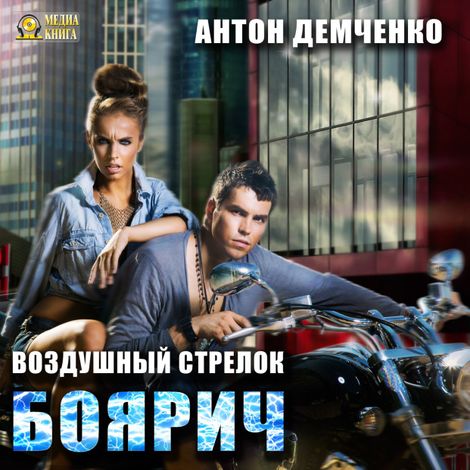 Аудиокнига «Воздушный стрелок. Боярич – Антон Демченко»
