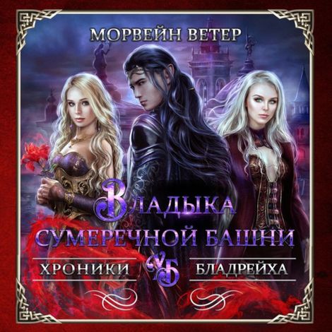 Аудиокнига «Владыка сумеречной башни – Морвейн Ветер»