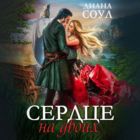 Аудиокнига «Сердце на двоих – Диана Соул»
