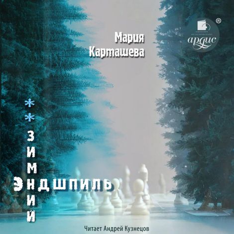Аудиокнига «Зимний эндшпиль – Мария Карташева»