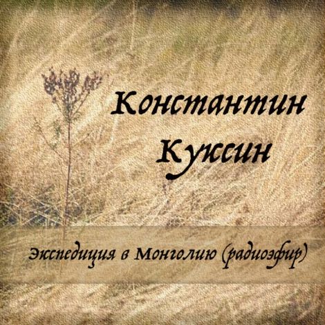 Аудиокнига «Экспедиция в Монголию (радиоэфир) – Константин Куксин»