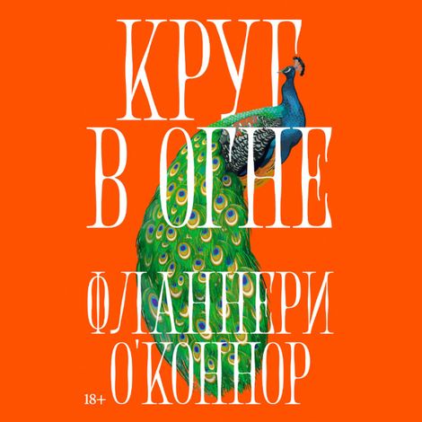 Аудиокнига «Круг в огне. Рассказы – Фланнери О'Коннор»