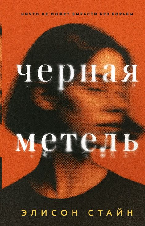 Книга «Черная метель – Элисон Стайн»