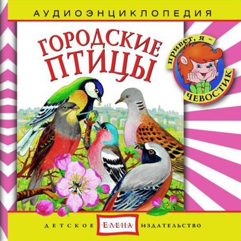 Аудиокнига «Городские птицы – Наталья Манушкина, Елена Качур»