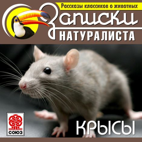 Аудиокнига «Рассказы классиков о животных. Крысы – Коллектив авторов»