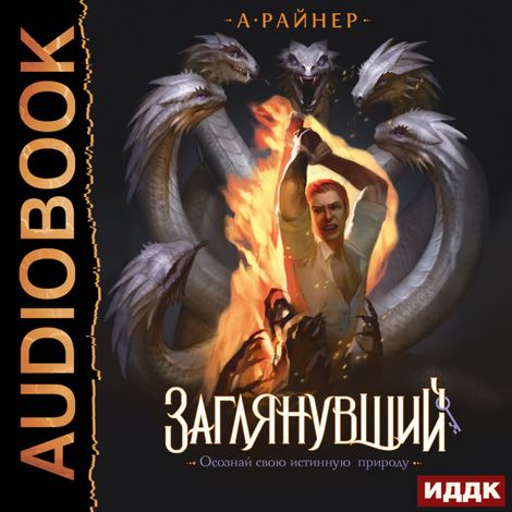 Аудиокнига «Заглянувший – Анастасия Райнер»